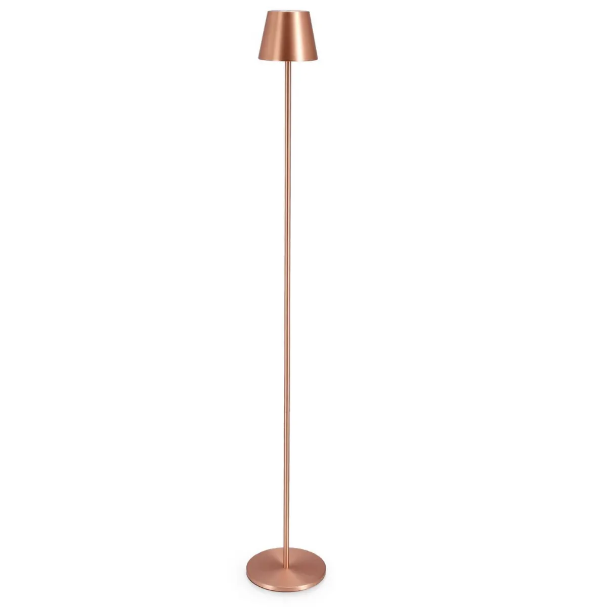 BT ANETTE Bronze modern Indoor floor lamp
