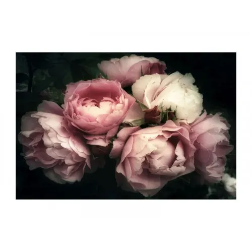 SI PEONY FLOWERS Utolsó 1db  Pink Wall pictures and picture frames – product image