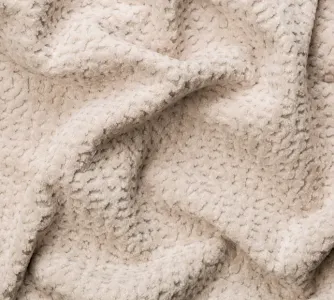 Jaguar 04