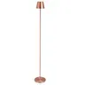 BT ANETTE Bronze modern Indoor floor lamp
