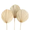 B AVA Gold elegant Table decoration