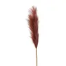 B BROWNIE Brown design Indoor decor