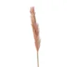 B BROWNIE Natural design Indoor decor