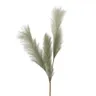 B REEDINA Green design Indoor decor